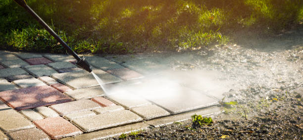 Best Winterizing Services  in Dorr, MI