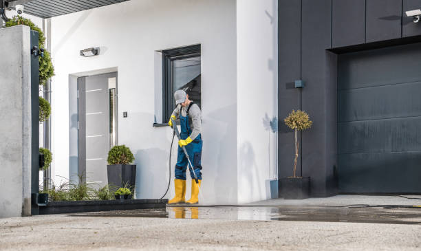 Best Pre-Holiday Cleaning  in Dorr, MI